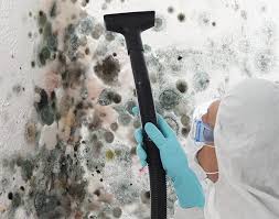 Forensic Mold Investigation in Belle, WV